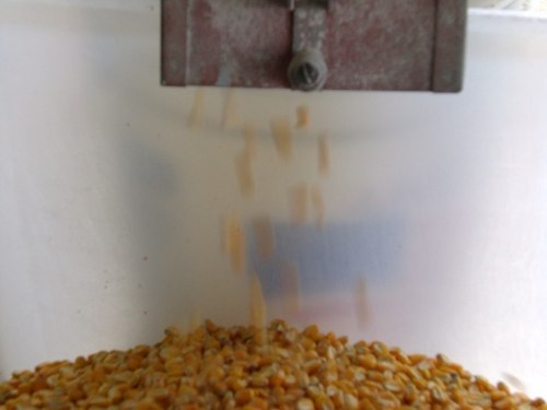 Grinding yellow corn since 2001!