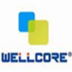 wellcoressd's profile picture. Solide State Drive, Consumer SSD, Industrial SSD Manufacturer.