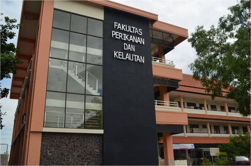 Tempat berbagi cerita, merangkai mimpi, mewujudkan asa anak-anak FPK'13 - JELLYFISH