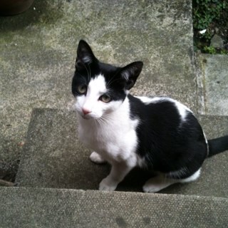 PhilipsMandy's profile picture. 