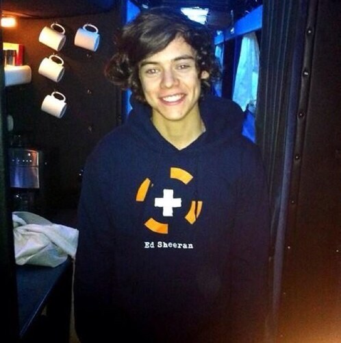 Saved for @Supportmyboys1D please go follow her