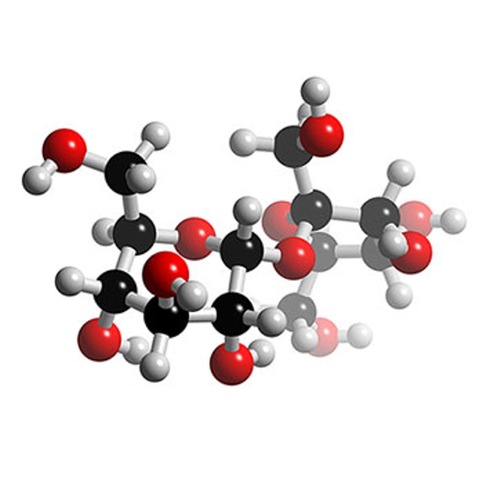 Gaz Scientifiques pour les Laboratoires