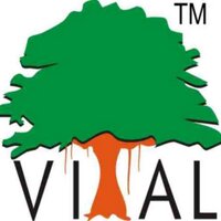 vital global (@vitalglobal) 's Twitter Profile