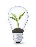 Approved #Electrician, Qualified #Electrical testing and inspection. Landlords certs, Electrical conditioning reports. Advice and tips.