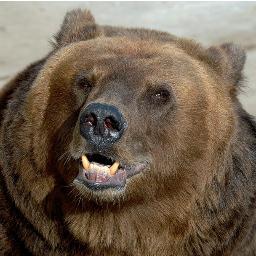 Нефть, газ, золото, инженерия, финансы, экономика, политика, ВСЁ ОБО ВСЁМ!