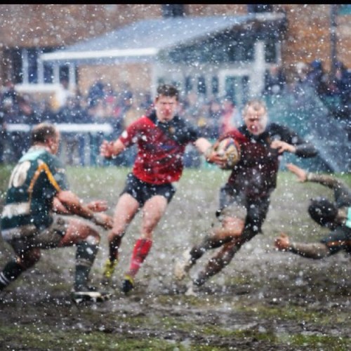 CharlesIncledon's profile picture. 