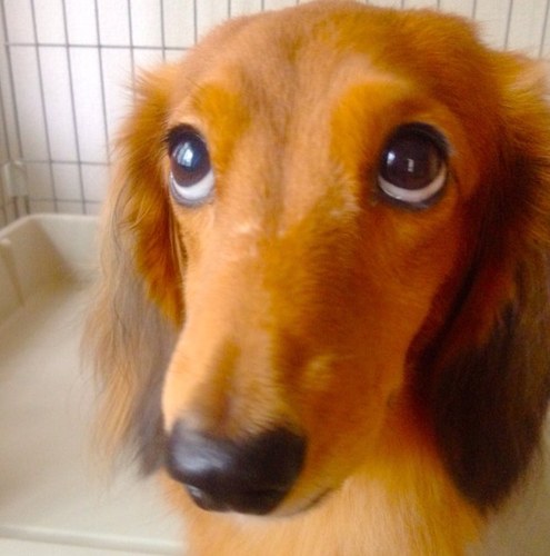 Aki_souther's profile picture. C-C-Bとアニメと漫画と動物が大好き♪