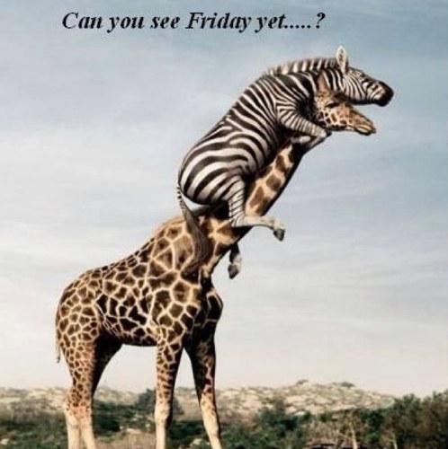 jhs1094's profile picture. 