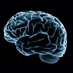 Rea Neuro (@neurorea) Twitter profile photo Rea Neuro (@neurorea) Twitter profile photo