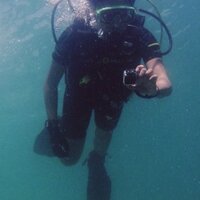d (@dingd0ng_) 's Twitter Profile