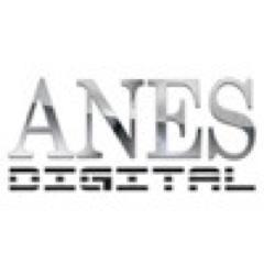 Sezione  Editoria digitale di ANES - Associazione Nazionale Editoria Specializzata