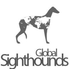 Brand new online community for sighthound lovers, taking puppy steps, but expecting to become as big as a wolfhound and as fast as a greyhound