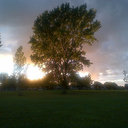 robert greco - @robertgreco65 - Twitter