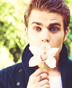 Sara_PWesley's profile picture. 