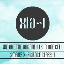 WE ARE THE ORGANELLES IN ONE CELL | XIA-1 BATCH 2013-2014 | Magic & Science | letak: di lantai 2, di antara lab fis & kelas XIA2.