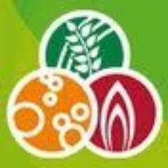 MT-Energie a mis en service 600 installations de méthanisation et 40 installations d'épuration du biogaz en biométhane. Nous vous assistons dans vos projets !