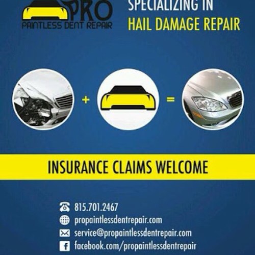 PRO PAINTLESS  DENT  REPAIR