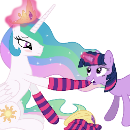 Huhnfotus's profile picture. 