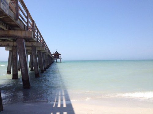 ss_cs5689's profile picture. 