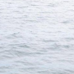 Submarine_Mike's profile picture. I'm a nobody. Ignore me.