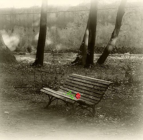 girlofthebluf's profile picture. 恋とは辛く切ないもの。 誰にも言えない思いだってある。 そんな思いを呟きます。 きっと共感していただけるのではないでしょうか。さよならの際はブロックで。ひとりでも多くの人に届きますように。