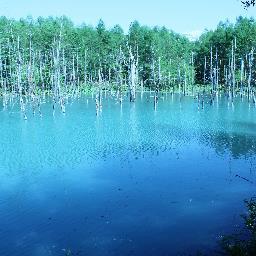北海道在住!!　　旅行好きな３４歳です。