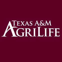 The AgriLife Advanced Leadership Program develops advanced leaders from across AgriLife who want to enhance their leadership and personal development skills.