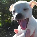 Nikki Hadley - @nikkamonkey - Twitter