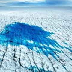 Barbos4Jun3's profile picture. We can live without religion and meditation, but we cannot survive without human affection.-Dalai Lama