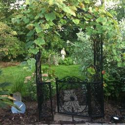 MichaelHripko's profile picture. 