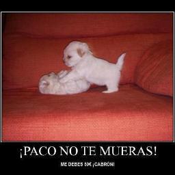 SebaTamara's profile picture. Sigueme Y Te Sigo¡¡¡¡