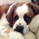 ciara  - @ciara_coughlan2 - Twitter