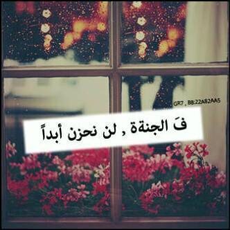 فتاة روحها تهفو للجنة وتسعى لأثر طيب..اغرد للحياة كما احب..تستهويني كل أبجدية أنيقة..أبوح بحرفي..واقتبس كثيرا لبوح يشبهني..عفوا !!لا تستهويني محادثة الرجال ..🕊