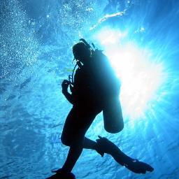 Send your dive photos and we'll share them. (This account doesn't own any of the photos posted, all rights to the owners)