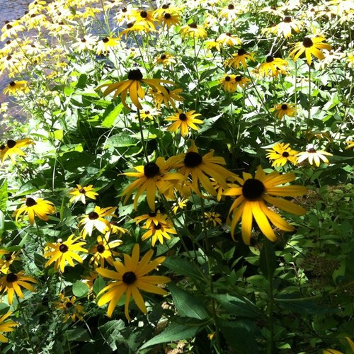 DebZRead's profile picture. WI Master Educator - Reading Specialist, Learner, Literacy Advocate