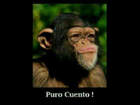 Licenciado en Administracion de Empresas, UCAB 2009, El buen humor es,  el satisfactorio resultado de una tenaz disciplina.
