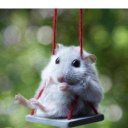 Witzelsuchter's profile picture. Witzelsucht: a form of joking mania, marked by a morbid drive to tell bad jokes and stories lacking meaning.