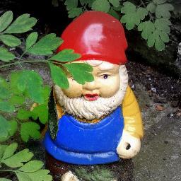 yourgardenday Profile Picture