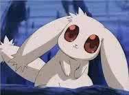 SirCuddleZ's profile picture. I'm a fluffy bunny!#owned by @Pikachaii #enjoys tummy rubrubs #multiverserp #cuddlesforall