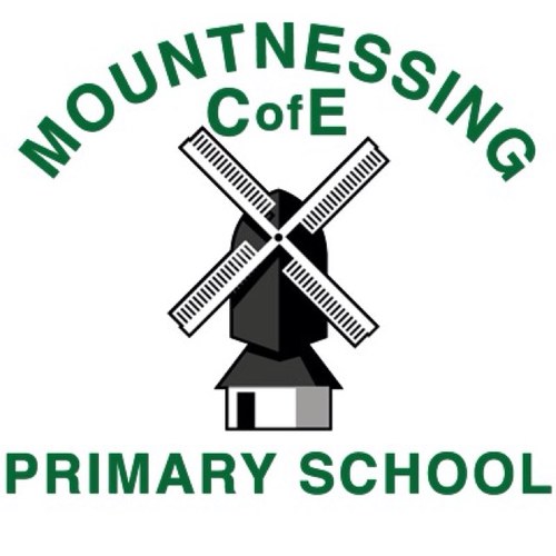 MountnessingSch Profile Picture