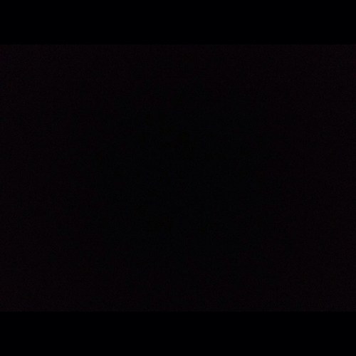 PrettyLil_Daisy's profile picture. 