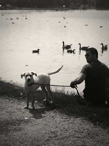 oliver_dale's profile picture. 