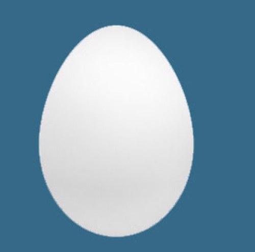 RocNine4's profile picture. 
