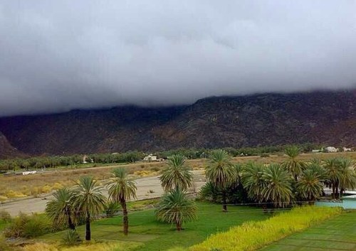 hd_rrrr's profile picture. سبحان الله وبحمده سبحان الله العظيم