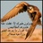 Profile Picture of ⚡رياح الصحراء⚡ (@@CassiMontoya1) on Twitter