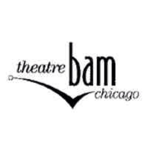 Theatrebam Chicago produces original  plays for adults and educational theatre for children. We created SCHOOLHOUSE ROCK LIVE!