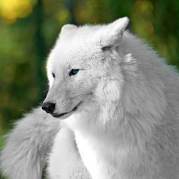 szaburai's profile picture. 