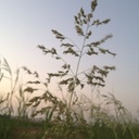 أوراق متصاقطه - @AdaWatson8 - Twitter