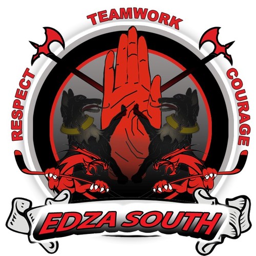 AAA Hockey Association.  Player developer.  Leadership developer.