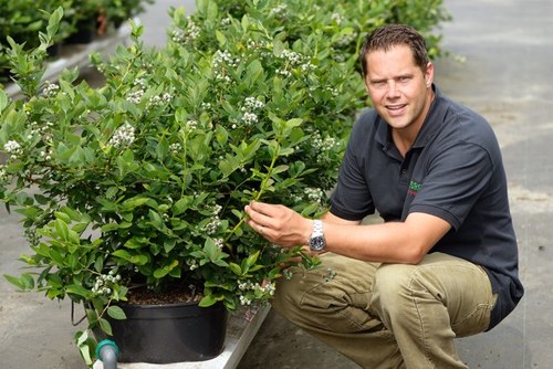 Sales, Business & Product Development Manager at Driesvenplant